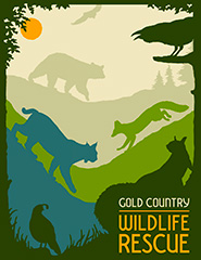 Welcome to Gold Country Wildlife Rescue - Gold Country Wildlife Rescue