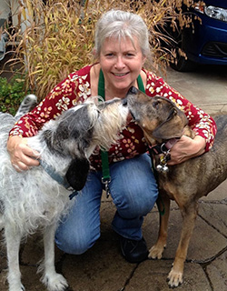 Sallysue Stein, Board President