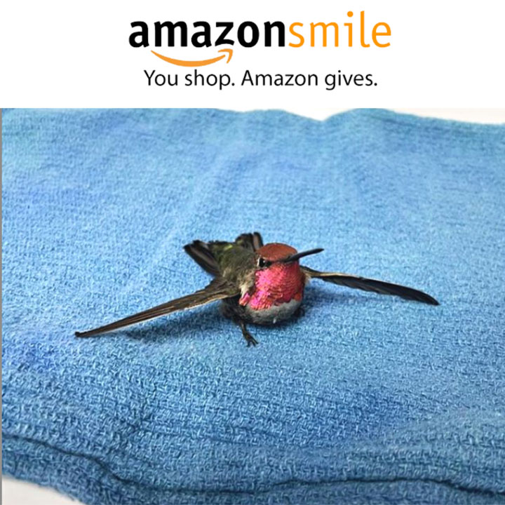 AmazonSmile graphic