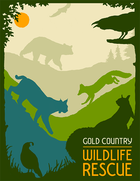 Wildlife Emergency - Gold Country Wildlife Rescue