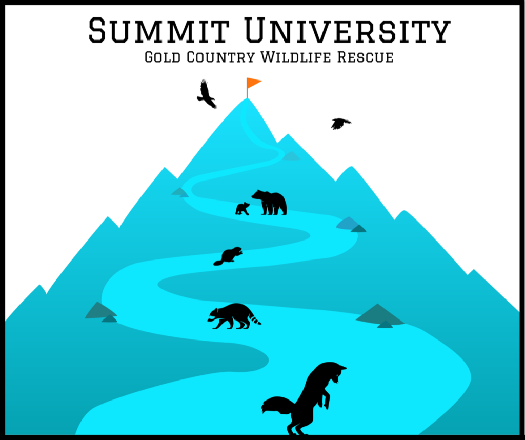 Summit University logo